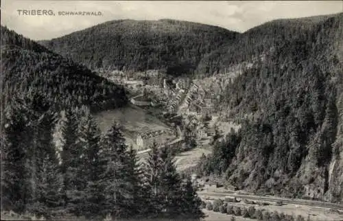 Ak Triberg im Schwarzwald, Panorama