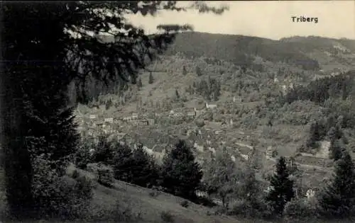 Ak Triberg im Schwarzwald, Panorama