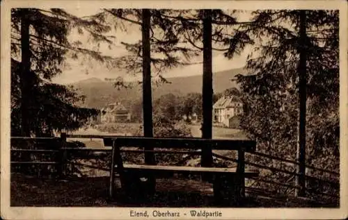 Ak Elend Oberharz am Brocken, Blick vom Wald aus