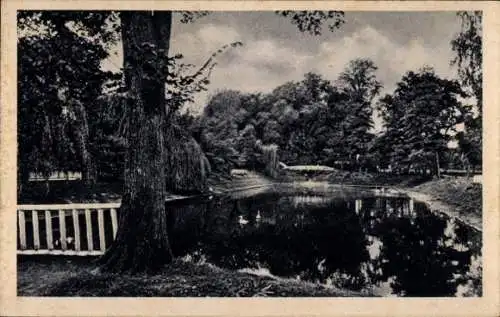 Ak Bernau bei Berlin, Stadtpark mit Schwanenteich