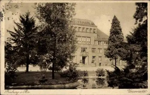 Ak Freiburg im Breisgau, Universität