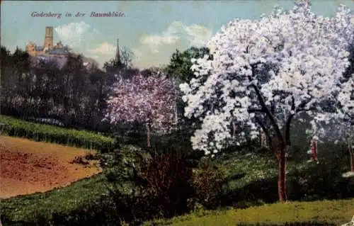 Ak Bad Godesberg Bonn am Rhein, Baumblüte