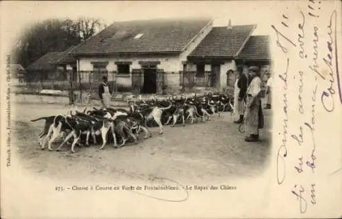 Ak Fontainebleau Seine et Marne, Foret, La Chasse a Courre, Le Repas des Chiens