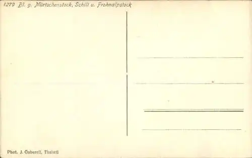 Ak Thalwil Kanton Zürich, Blick gegen Mürtschenstock, Schilt und Frohnalpstock