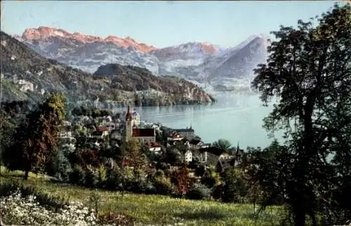 Ak Vitznau Kanton Luzern, Ort mit Alpen, Vierwaldstättersee