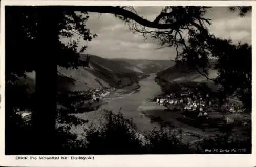 Ak Bullay an der Mosel, Moseltal, Panorama, Alf