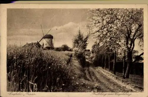 Ak Traar Krefeld am Niederrhein, Engelsberg, Mühle