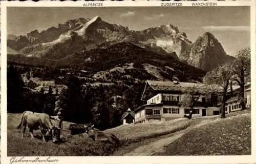 Ak Garmisch Partenkirchen in Oberbayern, Gschwandtnerbauerhaus, Bauer, Kühe