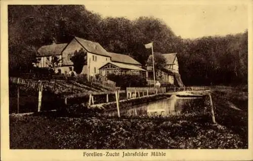 Ak Straßenhaus im Westerwald, Forellen-Zucht Jahrsfelder Mühle, Inh. Otto Kleinmann