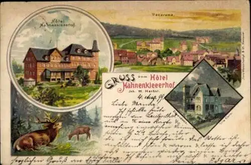 Litho Hahnenklee Bockswiese Goslar, Hotel Hahnenkleerhof, Hirsche, Villa Clara