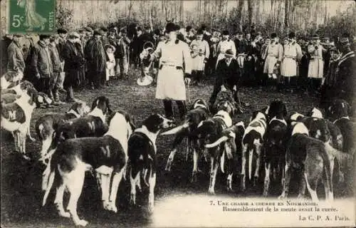 Ak Eine Jagd in der Normandie, Zusammenkunft des Rudels vor der Heilung