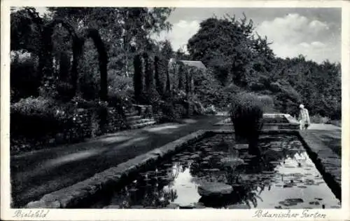 Ak Bielefeld in Nordrhein Westfalen, Botanischer Garten