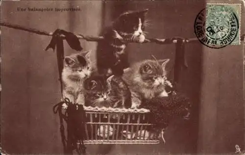 Ak Junge Katzen im Korb, Kätzchen