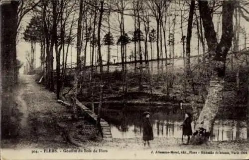 Ak Flers Orne, Gouffre du Bois