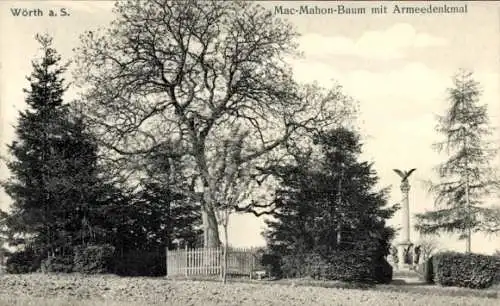 Ak Wœrth Wörth an der Sauer Elsass Bas Rhin, Mac Mahon Baum, Armeedenkmal