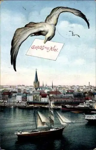 Ak Kiel, Panorama, Möwe
