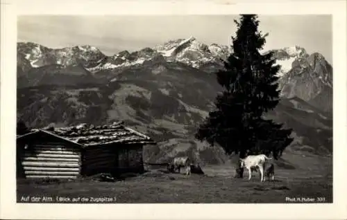 Ak Garmisch Partenkirchen in Oberbayern, Pitzner-Hütte, Auf der Alm, Blick zur Zugspitze