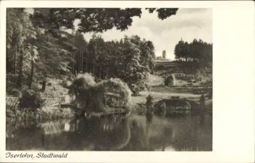 Ak Iserlohn im Märkischen Kreis, Stadtwald