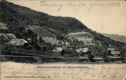 Ak Triberg im Schwarzwald, Panorama, Schwarzwaldhäuser