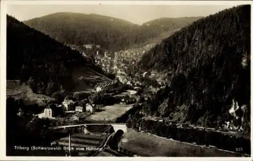 Ak Triberg im Schwarzwald, Blick vom Höhnen