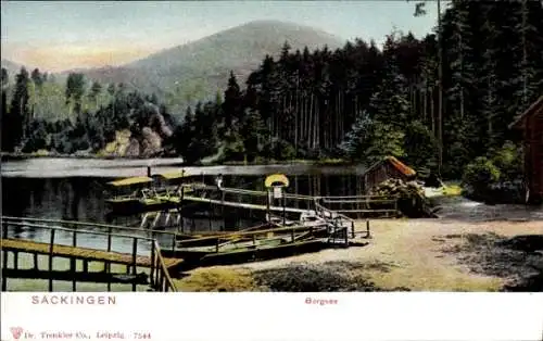 Ak Bad Säckingen Rhein Baden, Bergsee