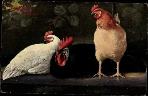 Künstler Ak Hühner, schwarzer Hahn