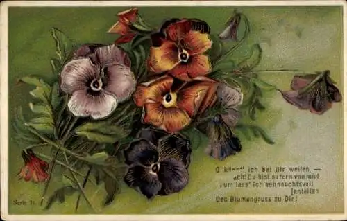 Präge Litho Bunte Stiefmütterchen
