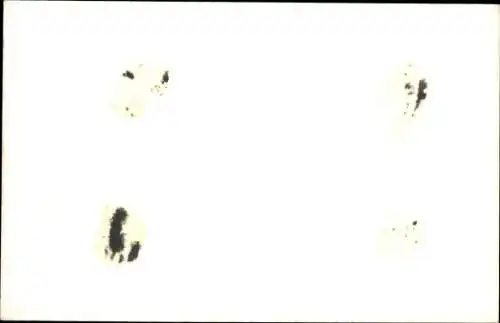 Ak Insel Hiddensee in der Ostsee, Blick auf den Strand Kloster und Vitte