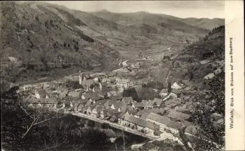 Ak Wolfach im Schwarzwald, Gesamtansicht, Brünnle, Stadtberg