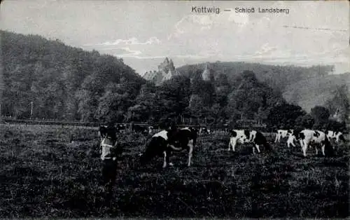 Ak Ratingen Nordrhein Westfalen, Schloss Landsberg bei Kettwig, Kuhweide