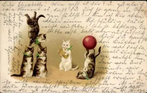 Litho Katzen als Akrobaten, Zirkus, Ball, Turnübung