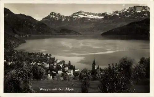 Ak Weggis Kanton Luzern, Panorama