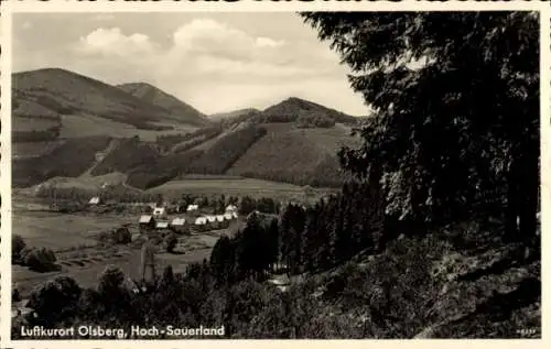 Ak Olsberg im Sauerland, Blick vom Tannenköpfchen, Panorama