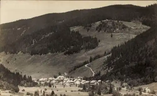 Ak Menzenschwand Sankt Blasien im Schwarzwald, Panorama, Hinterdorf