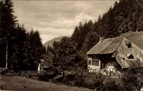 Ak Breitnau im Schwarzwald, Bauernhaus im Höllental