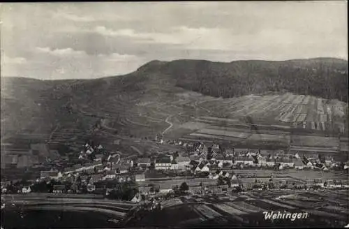 Ak Wehingen in Württemberg, Panorama