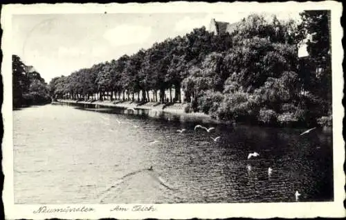 Ak Neumünster in Holstein, Teich