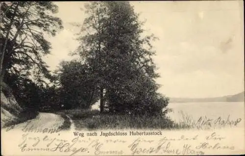 Ak Joachimsthal in der Uckermark Schorfheide, Jagdschloss Hubertusstock, Weg zum Schloss