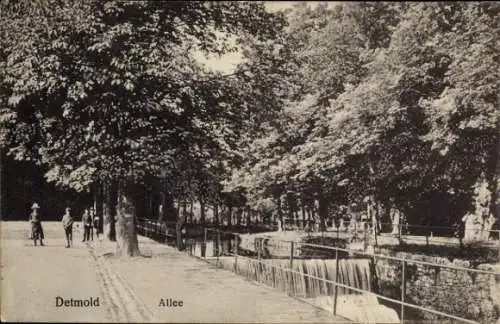 Ak Detmold in Nordrhein Westfalen, Allee