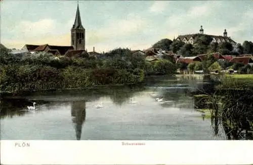 Ak Plön in Holstein, Schwanensee