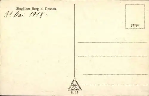 Ak Oranienbaum Wörlitz in Anhalt, Sieglitzer Berg, Hirsche, Wald