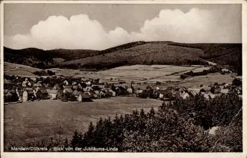 Ak Mandeln Dietzhölztal in Hessen, Gesamtansicht, Jubiläums-Linde