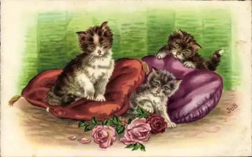 Ak Drei junge Katzen auf Kissen, Rosen