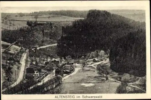 Ak Altensteig im Schwarzwald Württemberg, Gesamtansicht