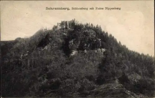 Ak Schramberg im Schwarzwald, Schlossberg, Ruine Nippenburg