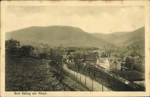 Ak Bad Salzig Boppard am Rhein, Teilansicht