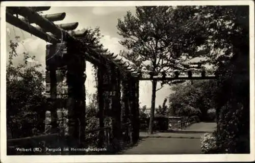 Ak Velbert im Rheinland, Pergola, Herminghauspark