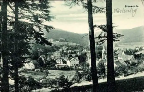 Ak Bad Herrenalb im Schwarzwald, Panorama