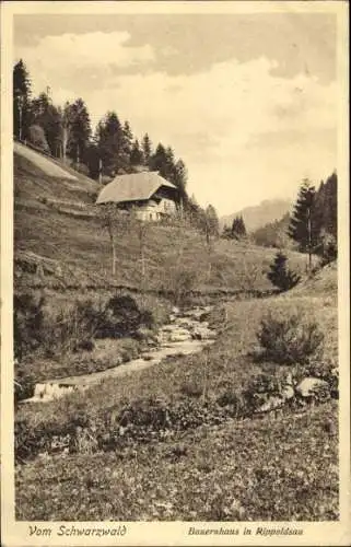 Ak Bad Rippoldsau Schapbach im Schwarzwald, Bauernhaus