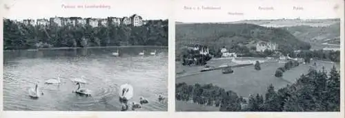 Set von 30 Bildern der Stadt Greiz in Thüringen im historischen Album